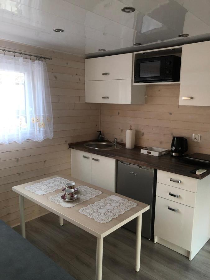 Sloneczne Ranczo Zator Energylandia Villa Kültér fotó